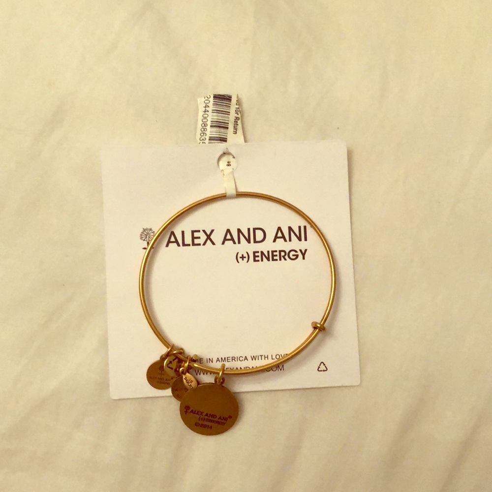 Alex & Ani bracelet